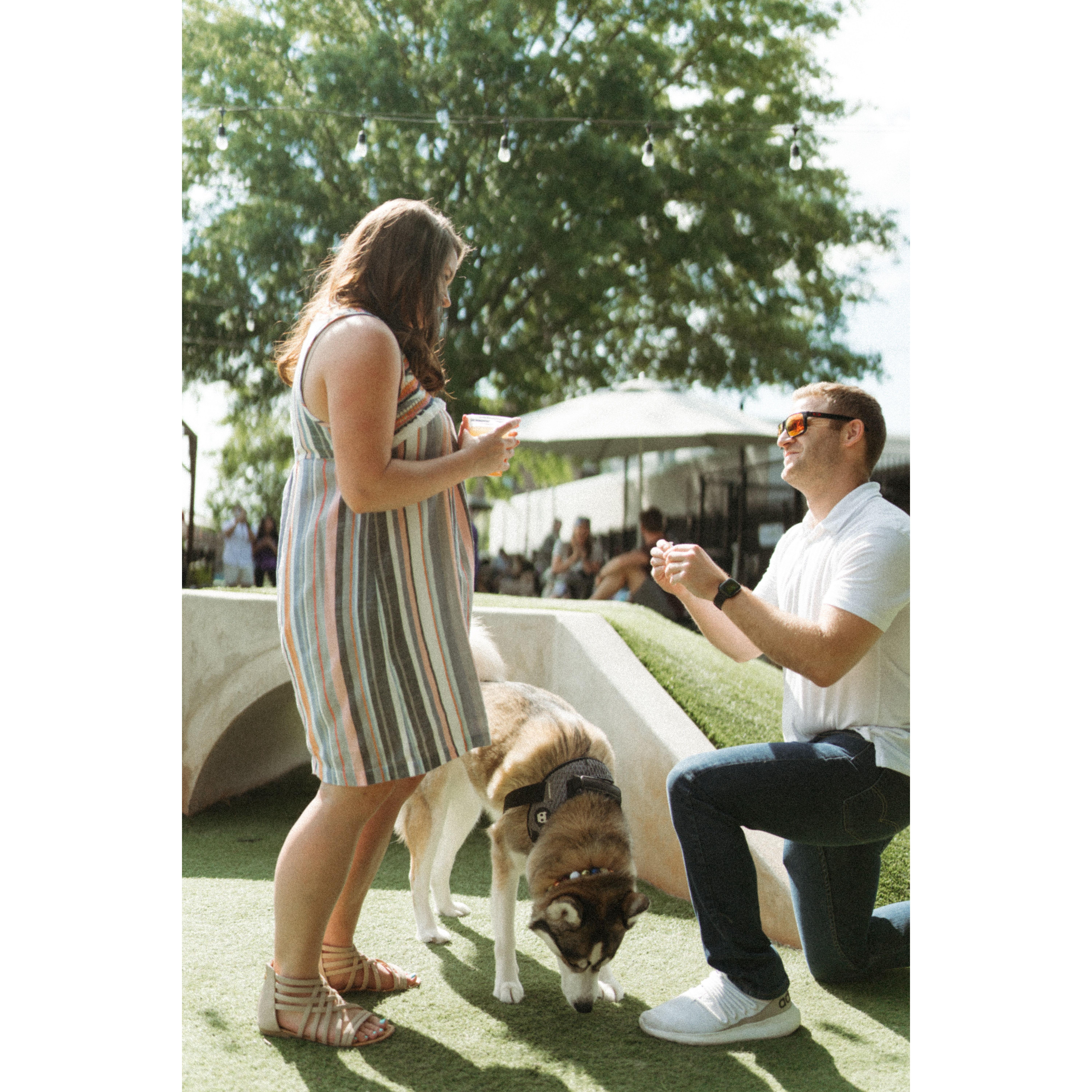 The proposal