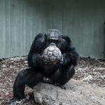 LA Zoo