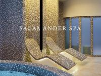Salamander Resort & Spa