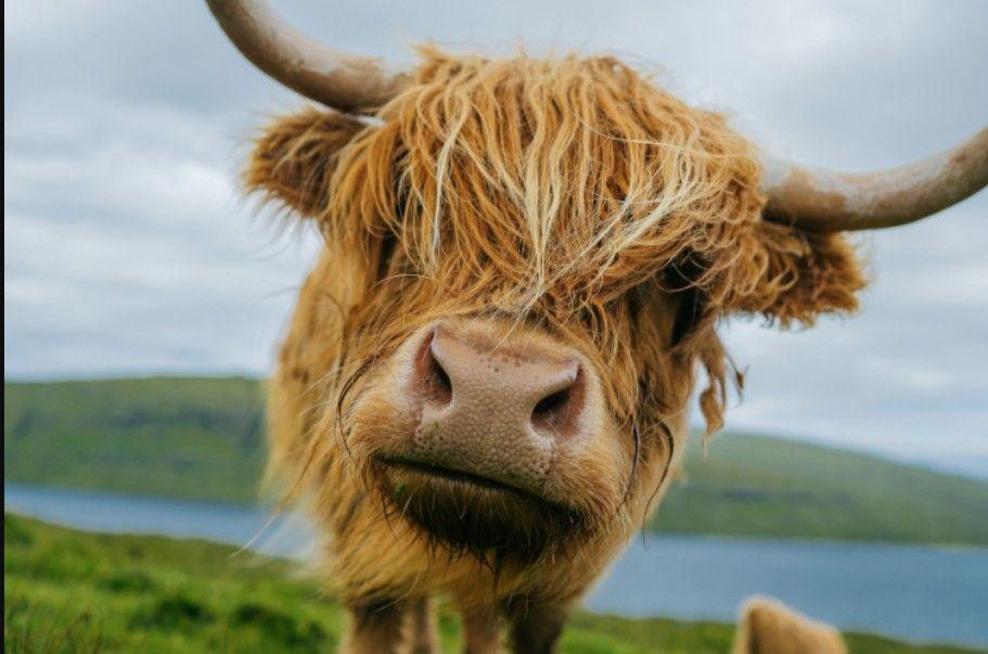 The Wedding Website of Dr. Paige Lynch and Robert Newton