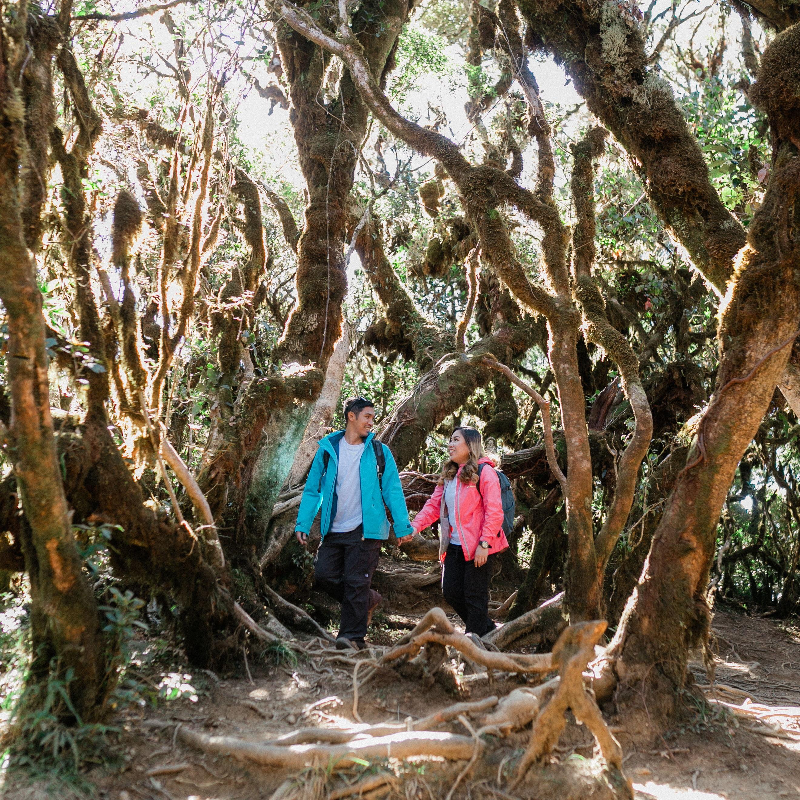 Hero Slideshow Image 1