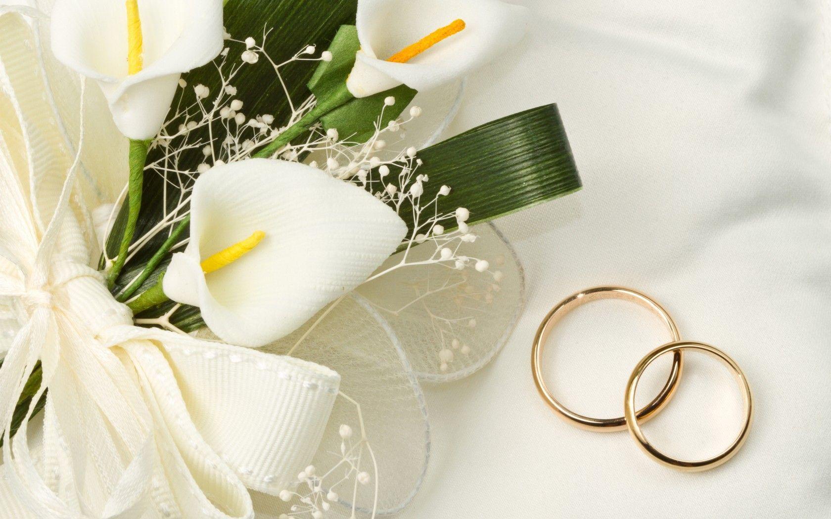 The Wedding Website of Emilie Berge Boyd and Ethan James Boyd