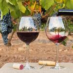 Napa Valley