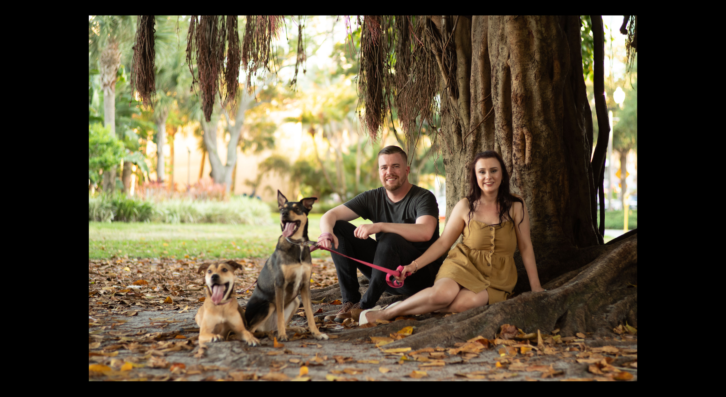 Footer image