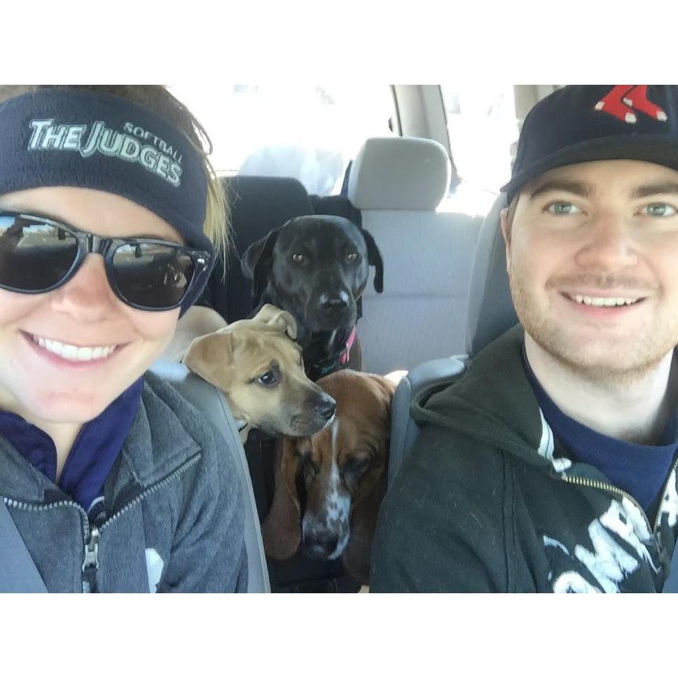 Always an adventure with the dogs!