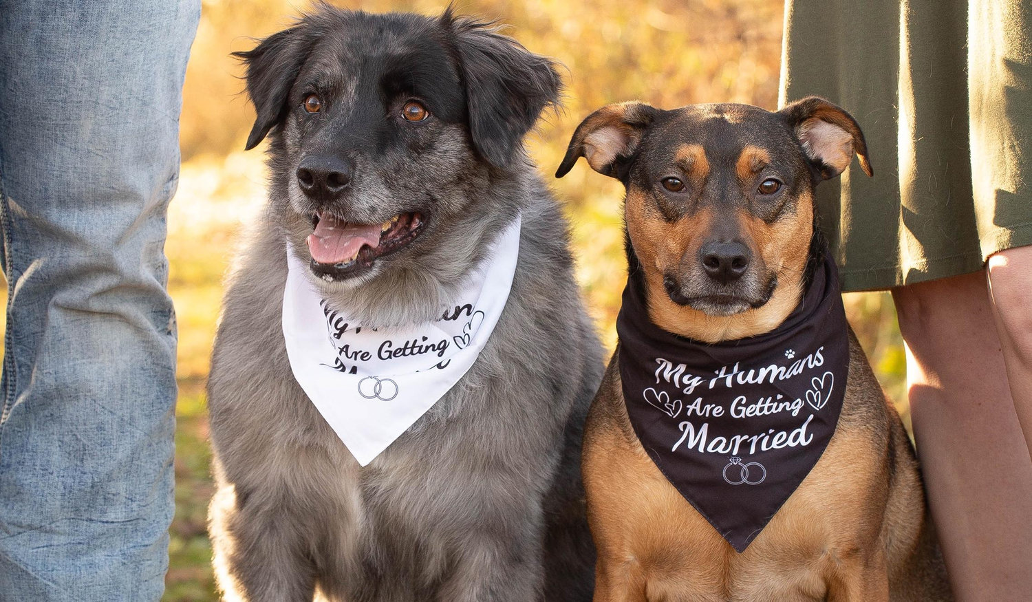 The Wedding Website of Ashtyn Plower and Tanner Koenes
