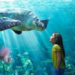SeaWorld Orlando