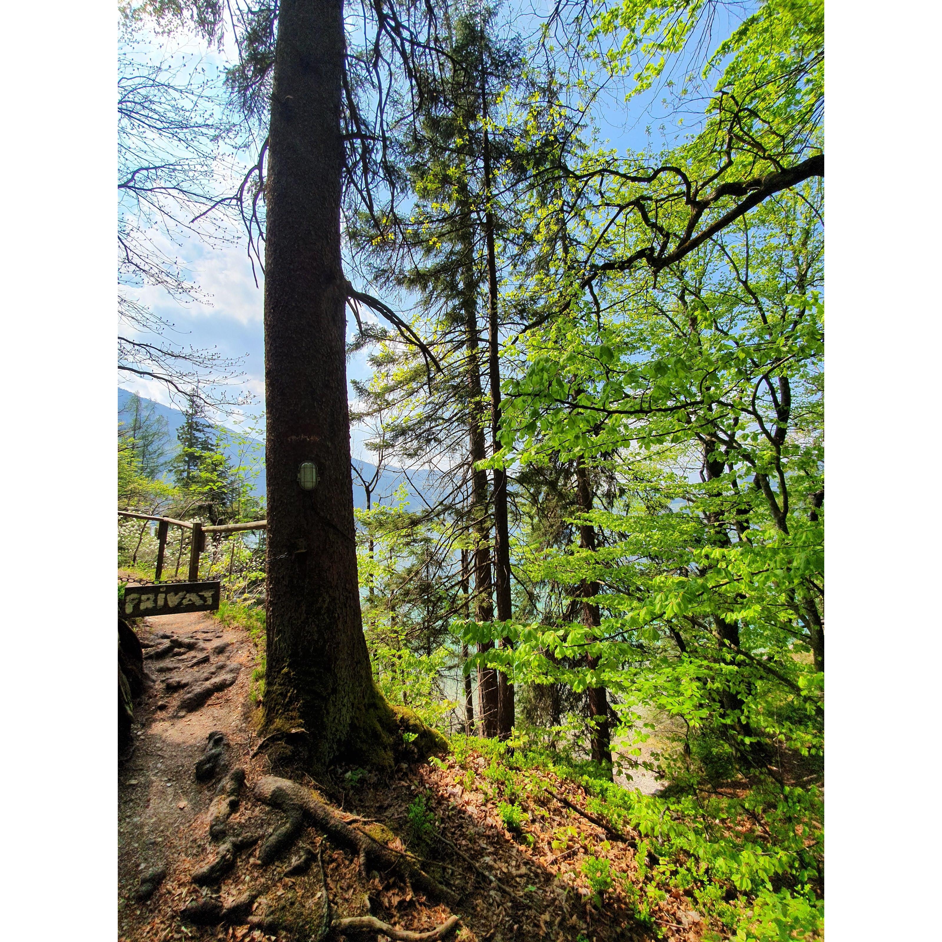 Falkenstein