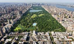 Central Park