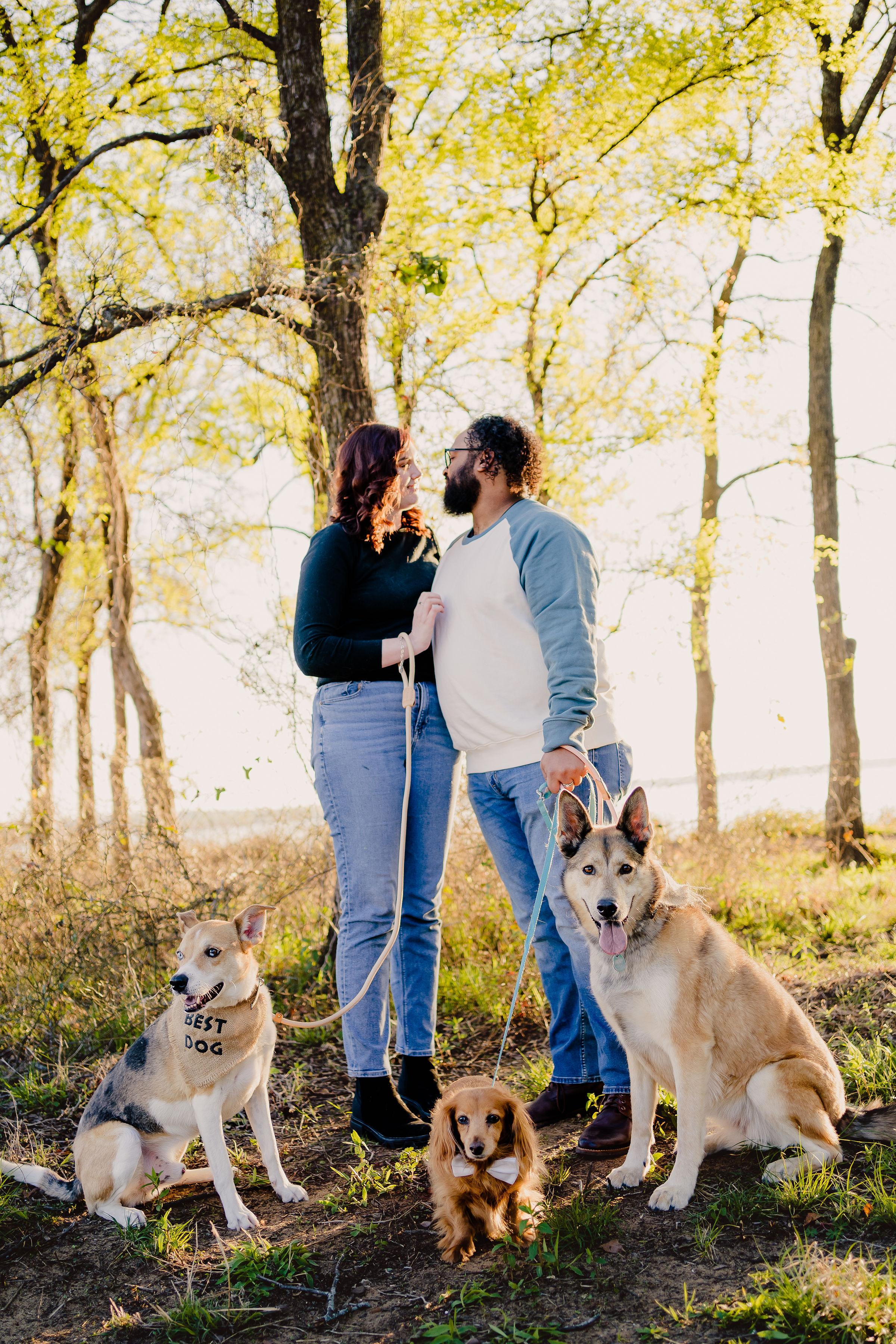 The Wedding Website of Haley Bitner and Darius Donatto