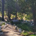 Hiking