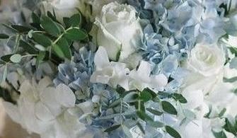 The Wedding Website of Renee L Wiedenbeck and Randy J Parks