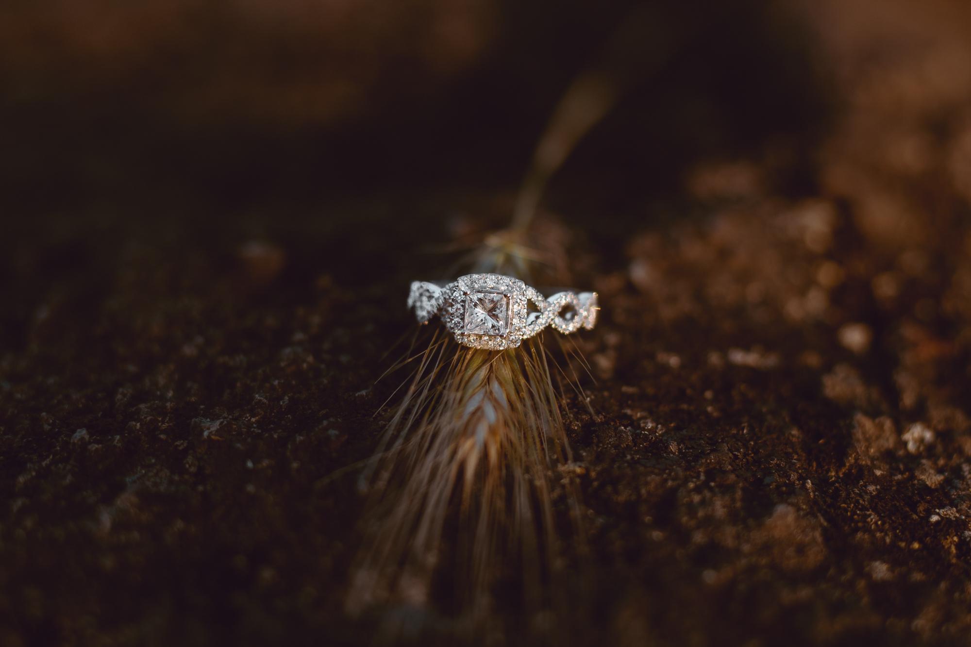 The Wedding Website of Christine Teeter and Tyson Hayes