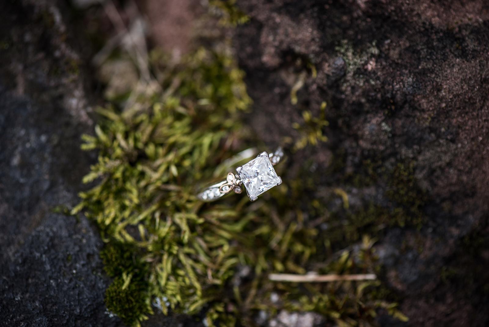 The Wedding Website of Emilee O'Neill and Michael Meiners