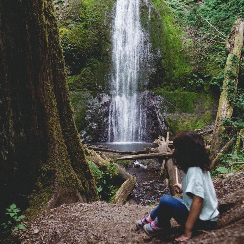 Olympic NP