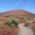 Badger Mountain Hike