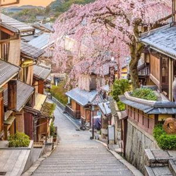 A train adventure in Japan