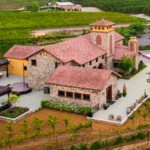 Wine Tasting at Lorimar Vineyards and Winery