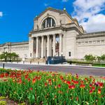 Saint Louis Art Museum