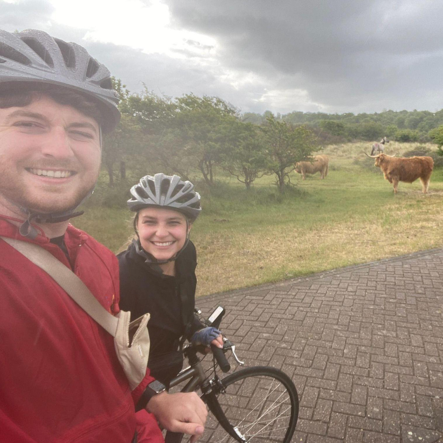 2022 - Bike tour in the Netherlands - seeing Highland cows for the first time