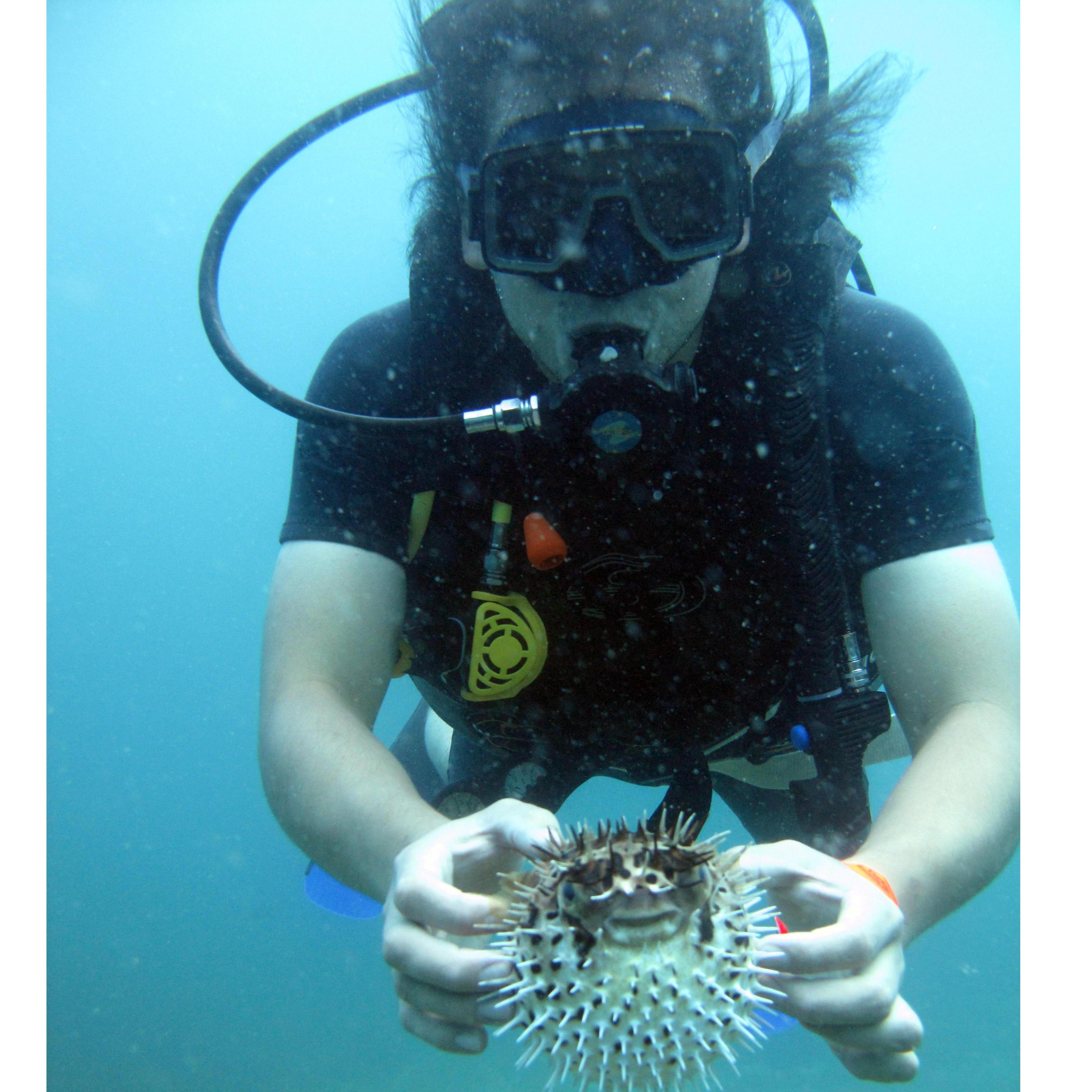 Ernest holding a puffer fish while scuba diving in Costa Rica 2017!