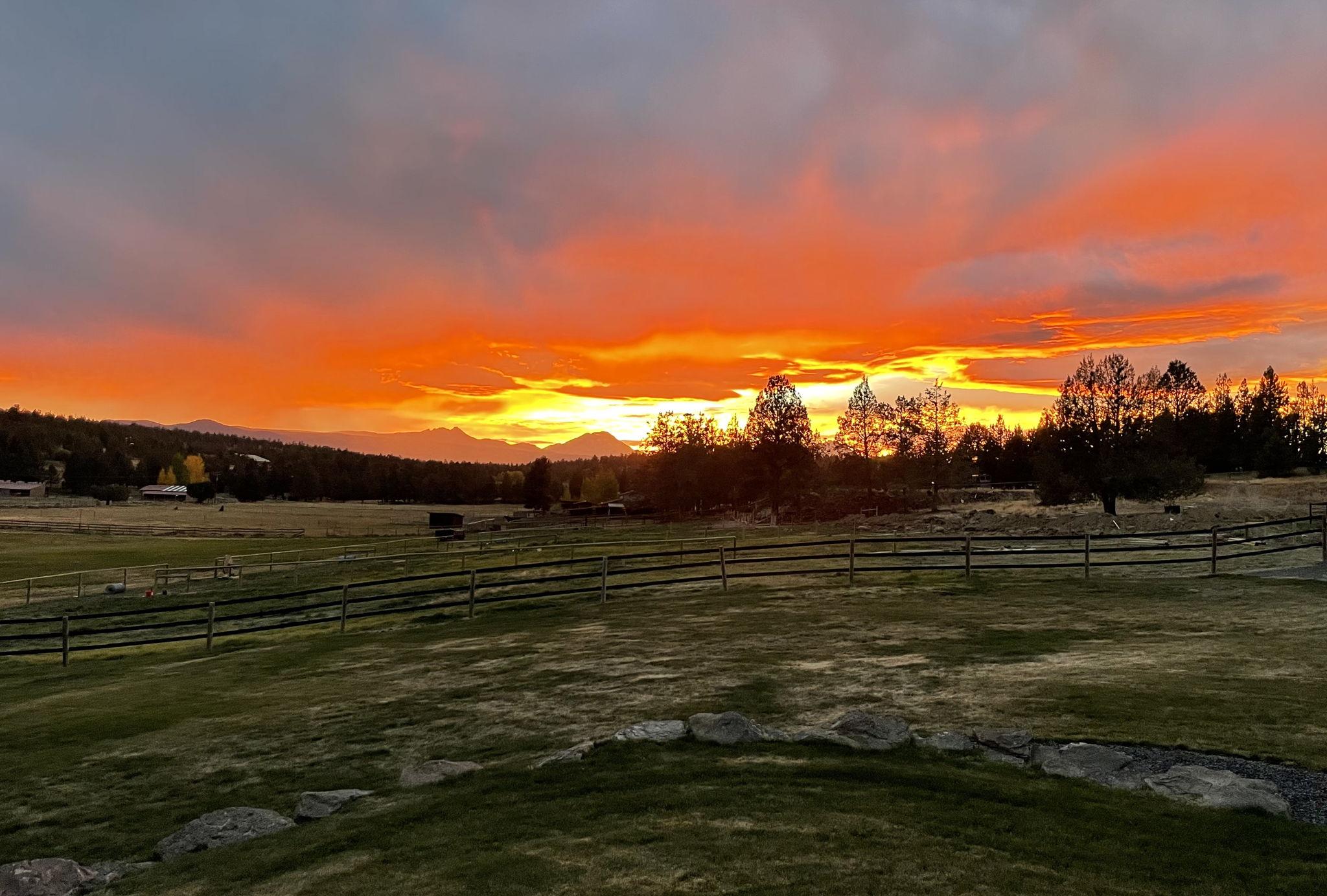 The Wedding Website of Hattie Liversidge and Taylor Morgan