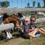 Irons Mill Farmstead
