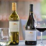 Wine Taste in Carmel Valley