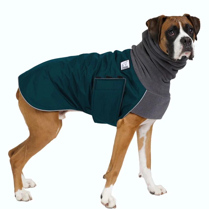 Boxer Winter Coat - Medium (Dark Teal)