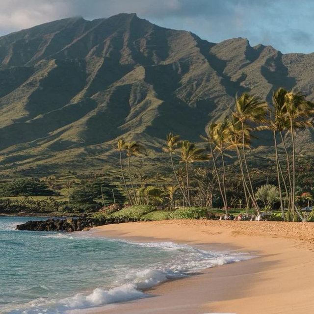 Honeymoon Beach Day in Maui