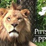 Pittsburgh Zoo & PPG Aquarium