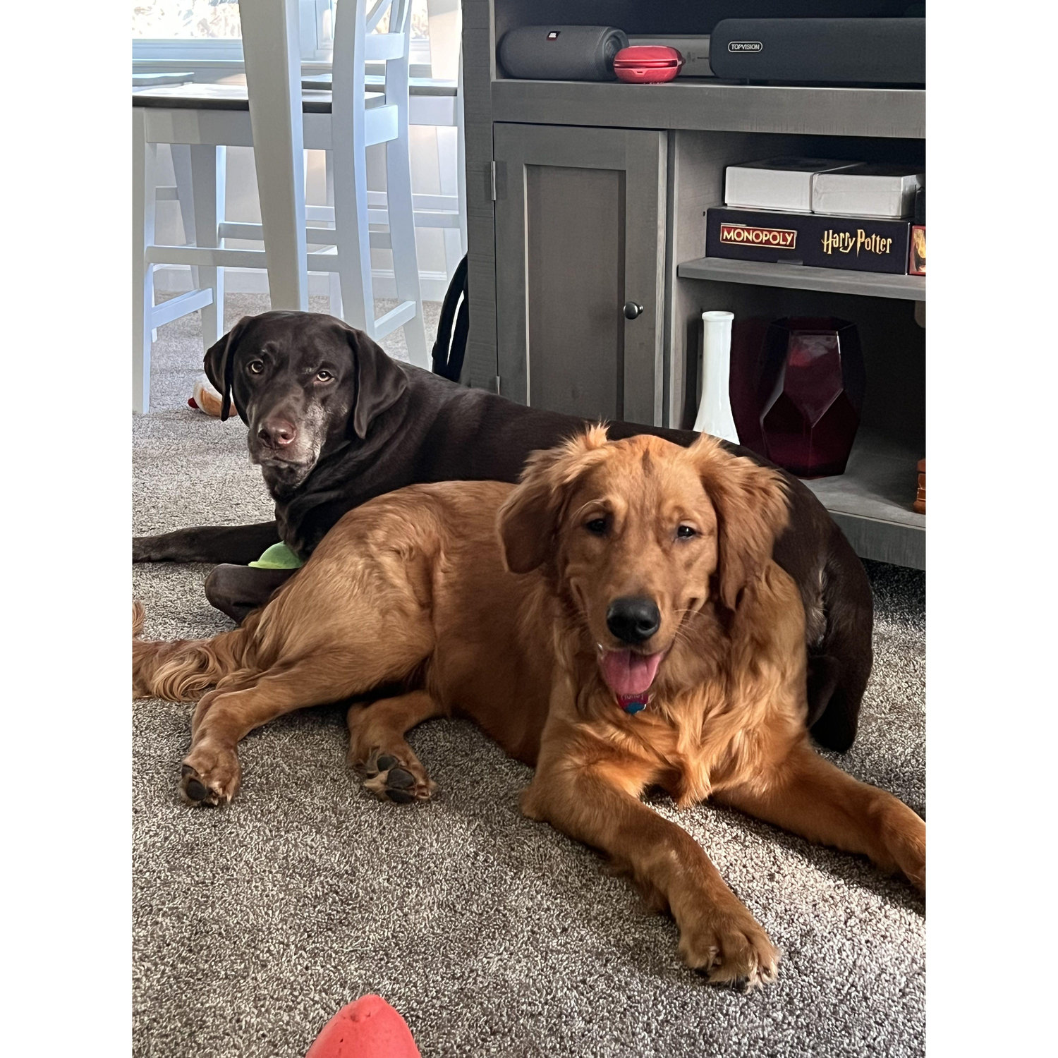 Hershey and Honey!
