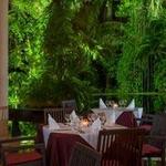 CHOPIN RESTAURANT
