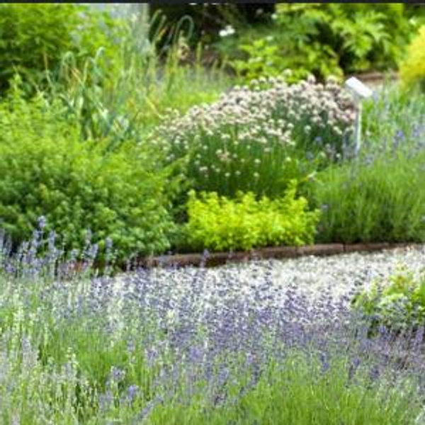 Landscaping Fund