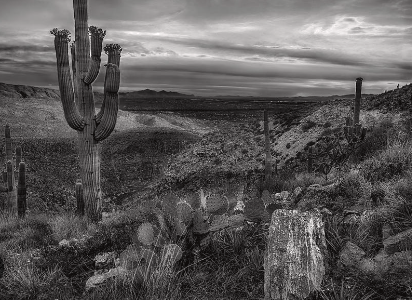 The Wedding Website of Stephanie Peralta and Luis Lopez