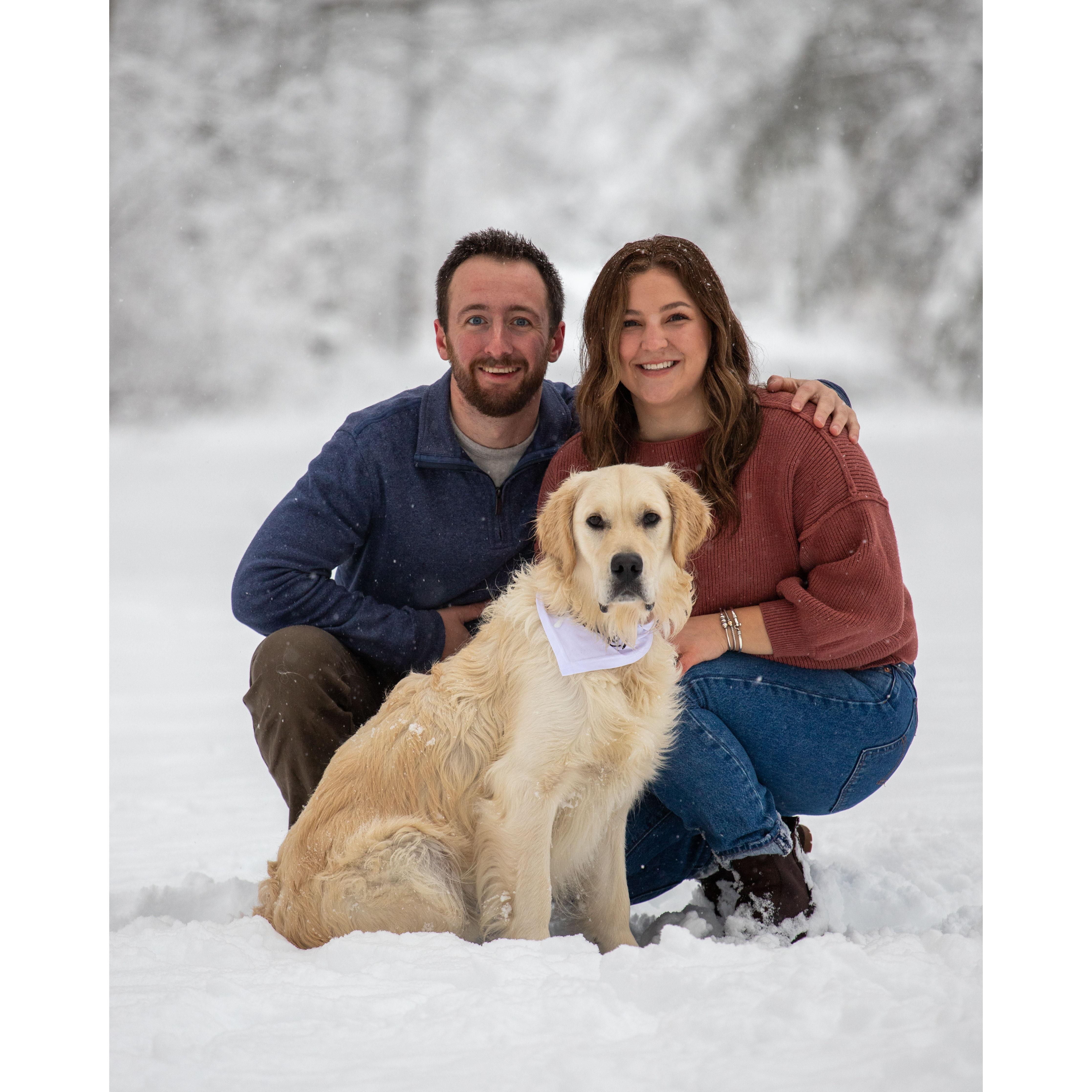 My Humans are Getting Married!