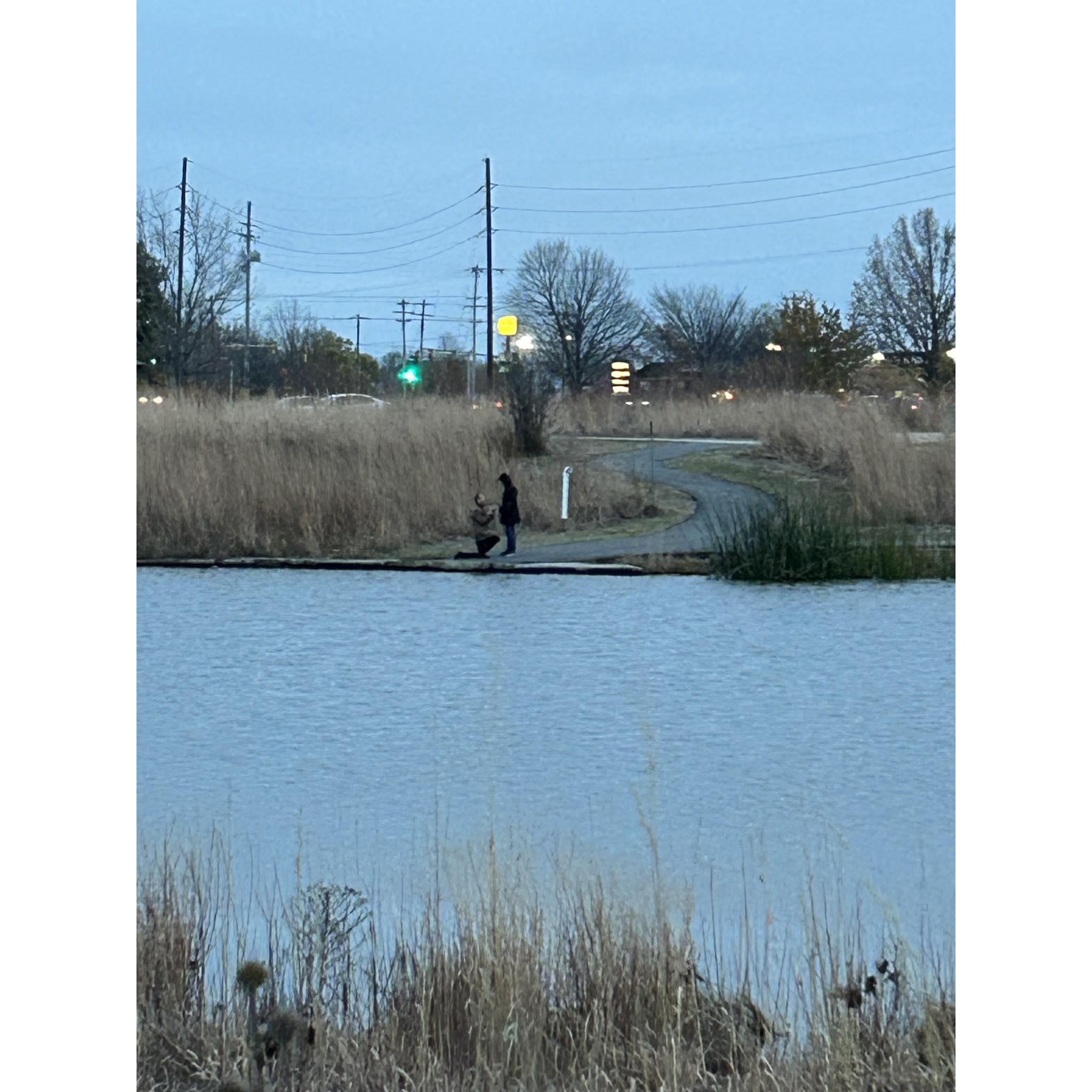 The Proposal! Tipton Park, Bloomington, IL (November 2024)