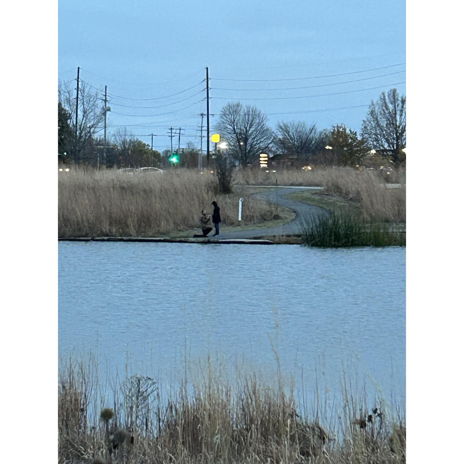 The Proposal! Tipton Park, Bloomington, IL (November 2024)