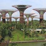 Gardens by the Bay