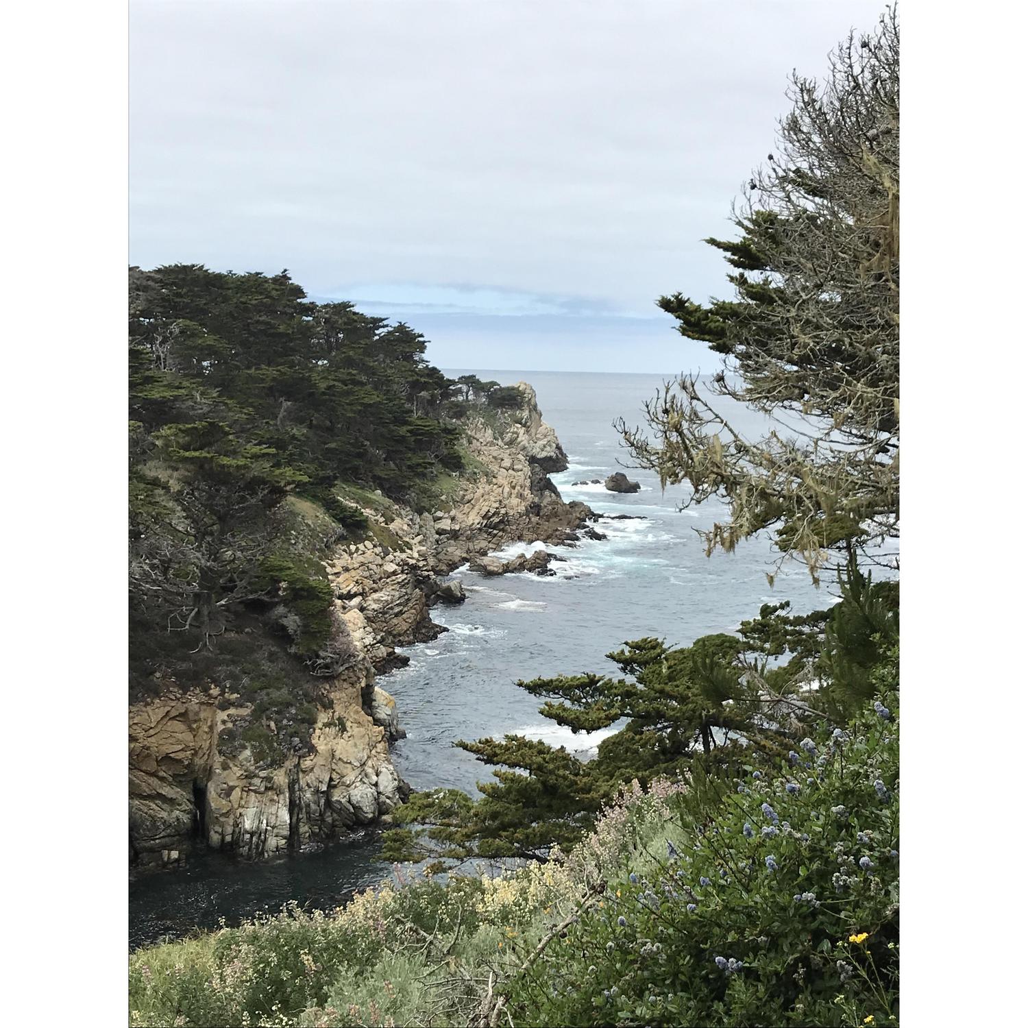 Pacific Grove 2018
