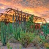 Desert Botanical Garden