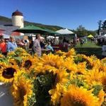 Waitsfield Farmers Market