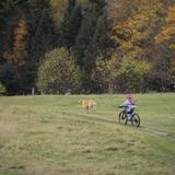 Kingdom Trails