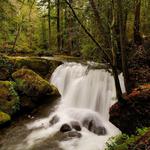 Whatcom Falls Park