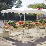 Local Markets