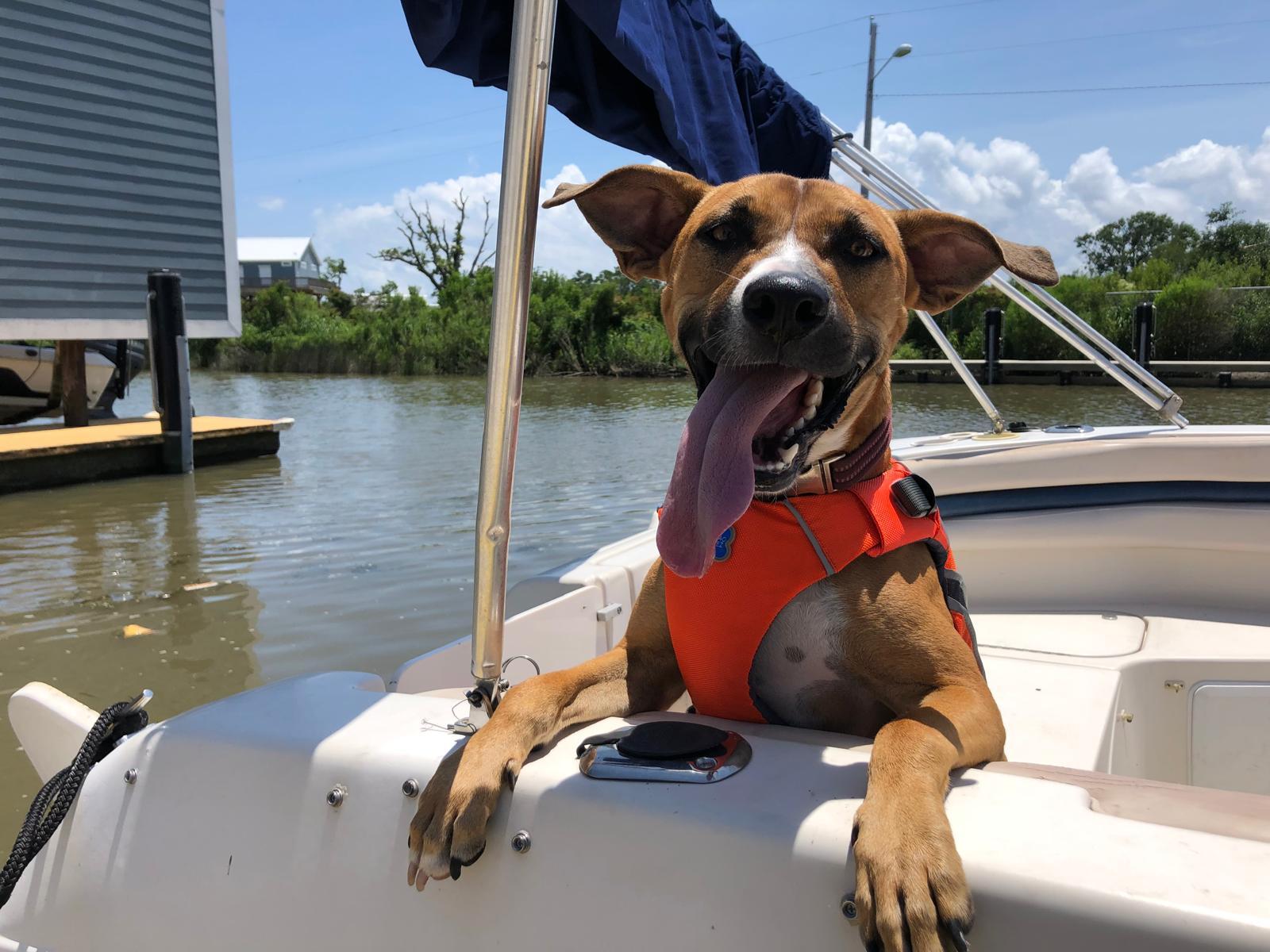 The Wedding Website of Kate Shipley and Ryan Suder