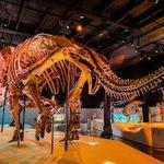 Houston Museum of Natural Science