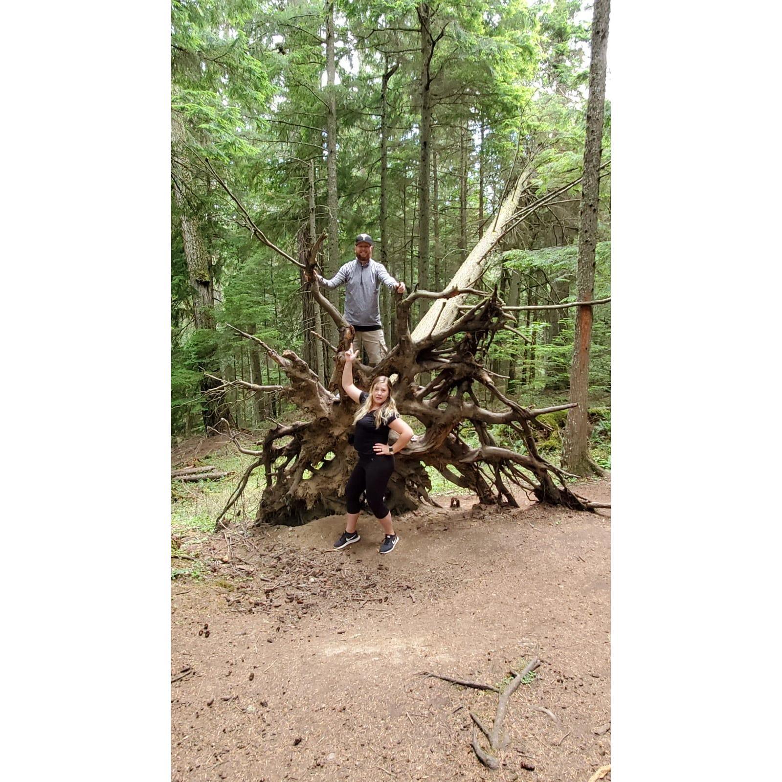2019 Hiking on Orcas Island