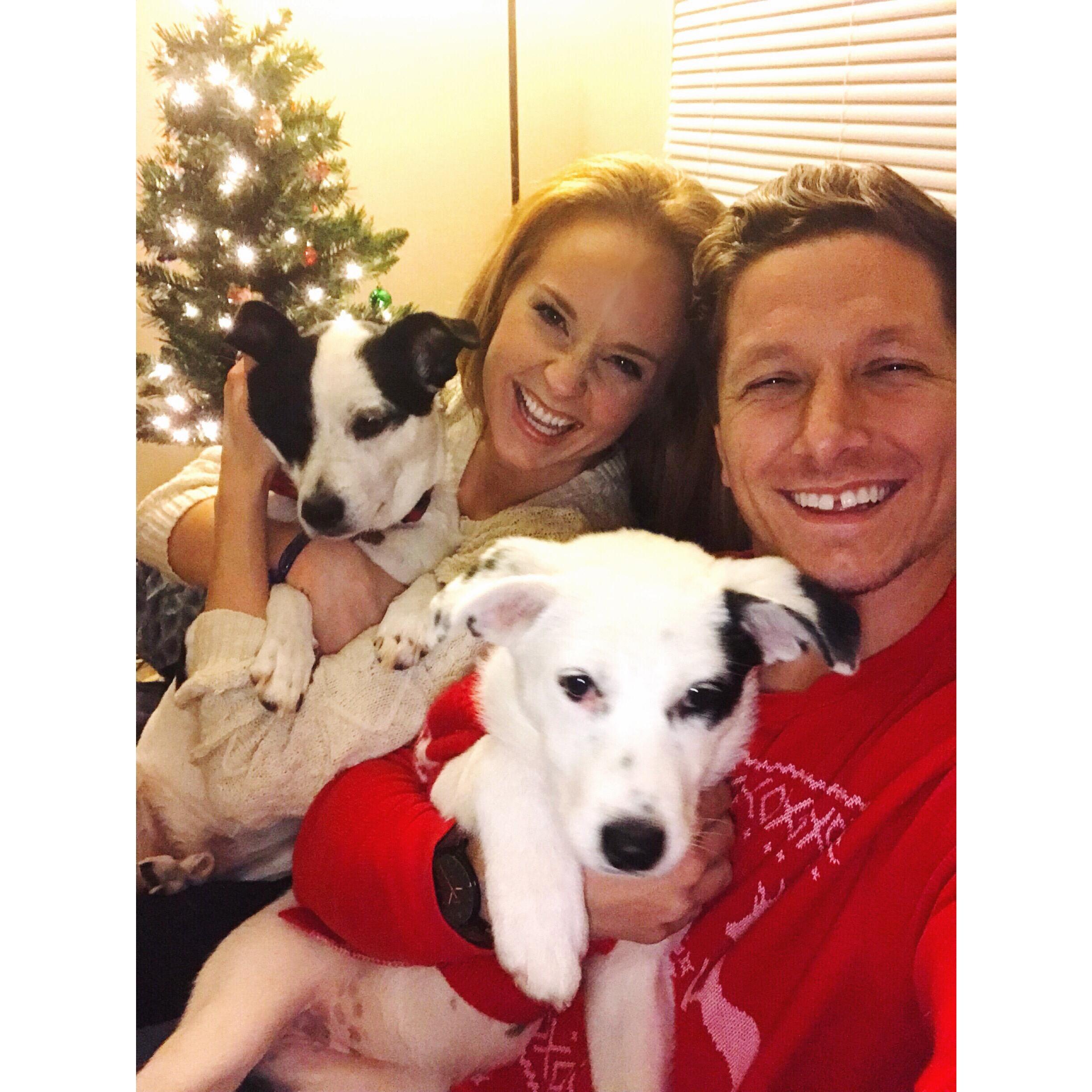 Merry Christmas from Ian, Carlee, Riley and Bentley!