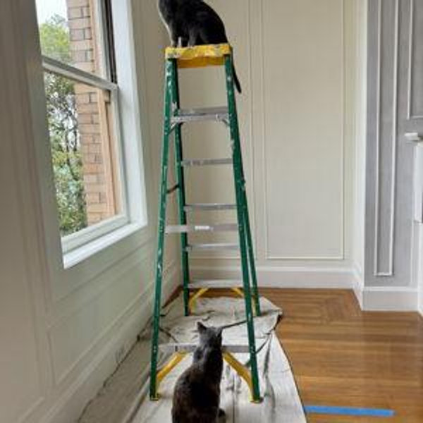 Bathroom Renovation Fund